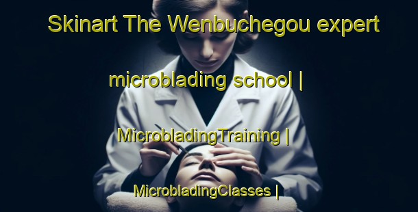 Skinart The Wenbuchegou expert microblading school | MicrobladingTraining | MicrobladingClasses | SkinartTraining-China